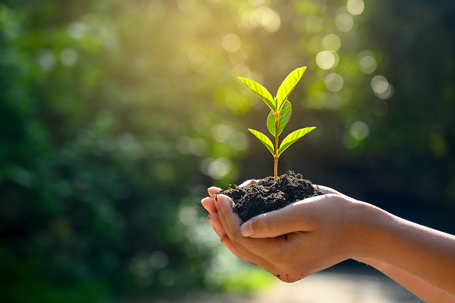 Lecta produce prodotti rispettosi dell'ambiente